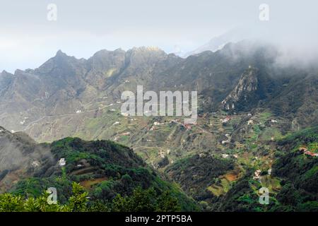 Impressione intorno a Mirador Pico del Ingles a Tenerife, Isole Canarie, Spagna Foto Stock
