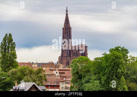 Impressione idilliaco con la Cattedrale di Strasburgo a Strasburgo, una città nella regione dell'Alsazia in Francia Foto Stock