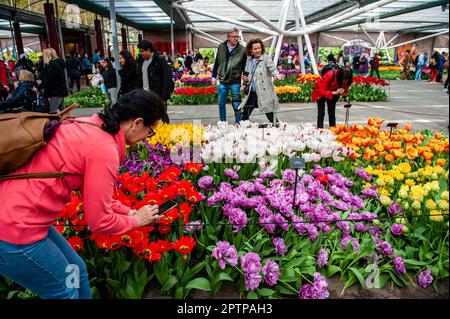 Aprile 23rd, Lisse. Keukenhof è anche conosciuto come il Giardino d'Europa, uno dei più grandi giardini fioriti del mondo, e si trova a Lisse, nei Paesi Bassi. Oltre ai milioni di tulipani, narcisi e giacinti nel parco, gli spettacoli floreali all'interno dei padiglioni sono diventati più grandi e più belli. Fino al 14 maggio 2023 si prevede che oltre 1 milioni di persone provenienti da tutto il mondo visiteranno la mostra. Keukenhof contribuisce in tal modo in modo in misura considerevole ai settori del turismo e della floricoltura olandesi. Foto Stock