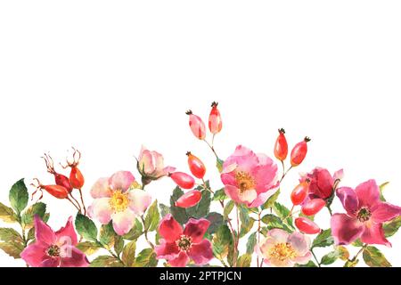 Banner floreale organizzato da foglie, fiori e bacche. telaio rosa cane. Cornice elegante. Luce rosa polvere. Foto Stock