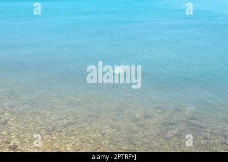 Gettare la pietra nell'acqua pulita, spruzzi d'acqua, spruzzi via dalla pietra gettata nell'acqua. Foto Stock