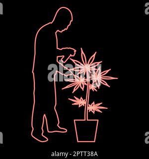 Neon uomo che si prende cura di marijuana pianta in vaso irrorazione d'acqua utilizzando irrigatore a mano Giardinaggio raccolta concetto a casa colore rosso vettore illustrazione immagine stile piatto Illustrazione Vettoriale