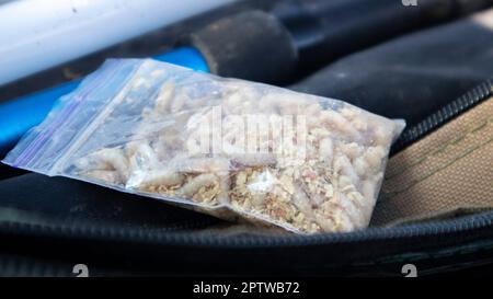 Un piccolo sacchetto di segatura e maggot. Esca viva per la pesca. Le larve del mosca sono buone esche per la cattura di tutto il pesce. Pesca. Il soggetto è esca per carpa, orata, Foto Stock