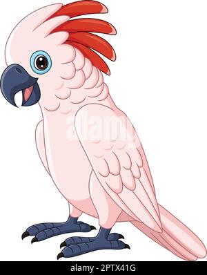 Cartone animato Molucco Pappagallo Cockatoo su sfondo bianco Illustrazione Vettoriale