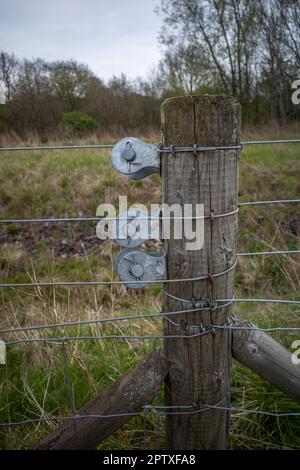 Tre tenditori girevoli galvanizzati su un palo da recinzione in legno con più fili. Foto Stock