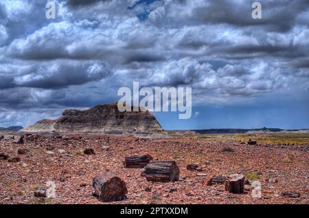 Nuvole di tempesta che si formano sulla foresta pietrificata Foto Stock