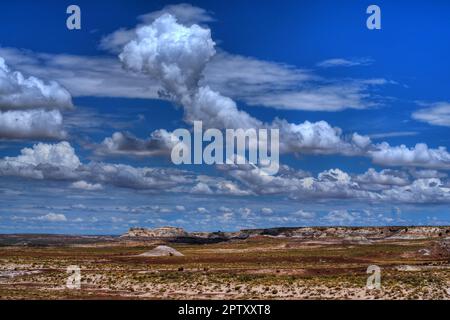 Nuvole di tempesta che si formano sull'alto deserto Foto Stock