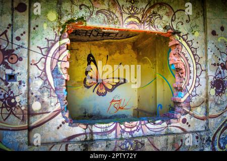 India, Uttarakhand, Rishikesh, abbandonato Maharishi Mahesh Yogi Ashram (Beatles Ashram). Ora appartenente al Parco Nazionale del Rajaji, riserva delle tigri. Foto Stock