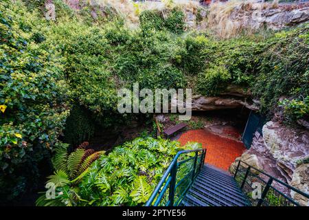 L'iconico e popolare sistema di grotte di Engelbrecht, che è una sinkhole sotto il CBD di Mt Gambier nell'Australia Meridionale, Australia Foto Stock