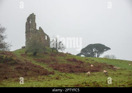 Mount Edgcumbe Country Park Folly una rovina artificiale costruita in pietra dalle chiese di San Giorgio e St Lawrence Stonehouse. Foto Stock