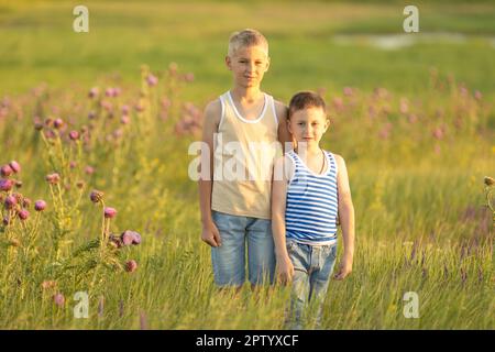 Due fratelli ragazzi felici sulla strada steppa sullo sfondo di erba alta gialla e verde. Vacanze estive. Buon concetto di estate Foto Stock