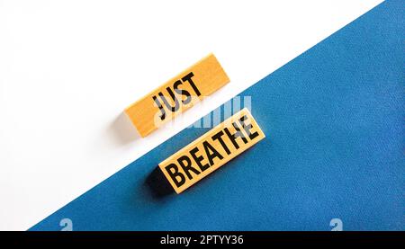 Basta respirare e simbolo psicologico. Le parole di concetto appena respirano sul blocco di legno bello. Splendido sfondo bianco e blu. Business psychologic Foto Stock