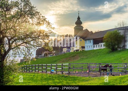 Neuhofen an der Ybbs: chiesa di St Veit a Toberstetten, albero di pera fiorito, cavallo e gestore di cavalli, tramonto a Mostviertel, Niederösterreich, Au inferiore Foto Stock