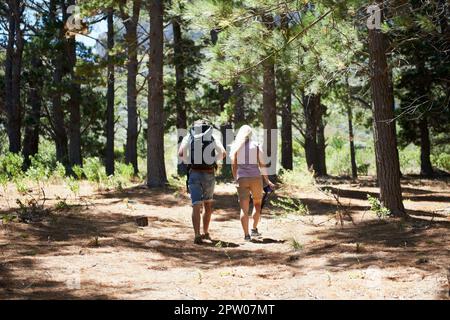 Esploratori di foresta. Ripresa di una coppia di escursioni insieme attraverso i boschi Foto Stock