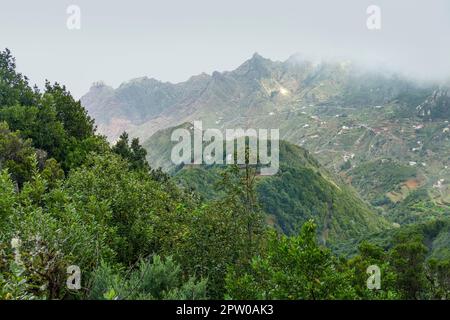 Impressione intorno a Mirador Pico del Ingles a Tenerife, Isole Canarie, Spagna Foto Stock