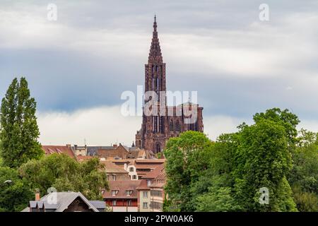 Impressione idilliaco con la Cattedrale di Strasburgo a Strasburgo, una città nella regione dell'Alsazia in Francia Foto Stock