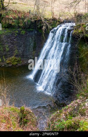 Aysgill Force, una cascata su Gayle Beck vicino a Beggarmans Road, Wensleydale, North Yorkshire. Questa cascata ha una caduta di 40 piedi. Foto Stock