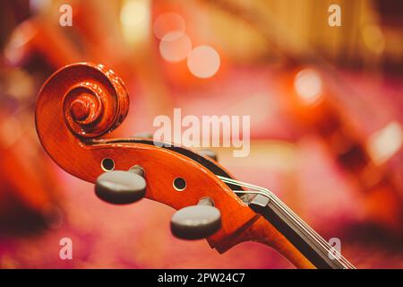 Scroll violoncello su headstock e perni di sintonizzazione. Foto Stock