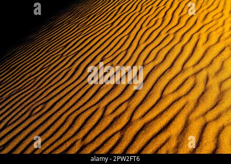 Alla luce del sole, le dune di sabbia ricurve e luminose arancioni con colline ondulate e valli Foto Stock