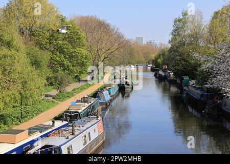 L'alzaia lungo il fiume Lea Navigation a Hackney, sotto il sole primaverile, a est di Londra, Regno Unito Foto Stock