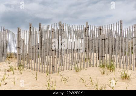 immagine dettagliata di strati di recinzione in spiaggia su una duna amagansett Foto Stock