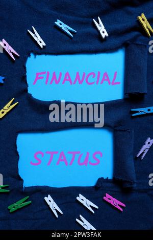 Scrittura che visualizza il testo Stato finanziario, livello di reddito della foto concettuale in cui i candidati sono categorizzati Foto Stock