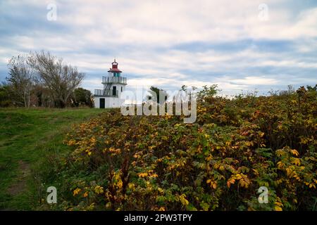 Faro, Spodsbjerg Fyr a Huntsted sulla costa della Danimarca. I raggi del sole brillano attraverso le nuvole. Prato con alberi. Foto di paesaggio dal mare Foto Stock