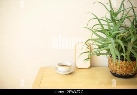 Foto domestica di comò con aloe vera maiuscola, tazza di tè e piccolo specchio contro la parete beige chiaro con spazio copia per il testo. Decorazioni per la casa Foto Stock