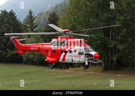 Elicottero da trasporto multiuso AS 332 Super Cougar C1 HB-XVY di Heliswiss International AG atterra su un prato forestale, Vallese, Svizzera Foto Stock