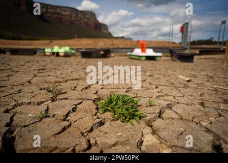 Vilanova de Sau, Spagna. 27th Apr, 2023. Una pianta sta crescendo tra grumi solidi secchi presso il serbatoio dell'acqua di Sau. Il bacino idrico, una delle principali fonti d'acqua della regione spagnola della Catalogna e in particolare per la città di Barcellona, è attualmente al 6% secondo i dati dell'Agenzia catalana per l'acqua, mentre i serbatoi d'acqua della regione sono al 27% della capacità; Che ha costretto il governo locale ad adottare misure contro la carenza idrica, poiché la Spagna è entrata in un periodo di siccità cronica. Il livello record basso ha fatto risorgere la città di Sant RomÃ con il suo iconico campanile, che era fl Foto Stock