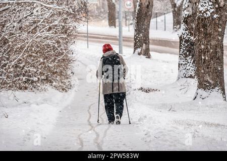 Una donna anziana con le canne in mano cammina lungo un sentiero innevato. Una donna anziana addestra Nordic Walking con bastoni. Vista posteriore, non riconoscibile Foto Stock