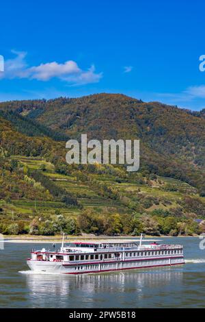 Schwallenbach sul Danubio, UNESCO, Valle di Wachau, bassa Austria, Austria Foto Stock