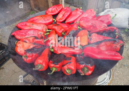 Arrostire i peperoni rossi per un sapore affumicato e un peeling rapido. Lavorazione termica del raccolto di pepe su cerchio di metallo. Contenitore Brazier utilizzato per bruciare charc Foto Stock