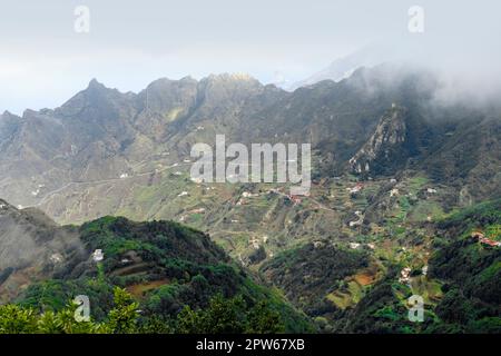 Impressione intorno a Mirador Pico del Ingles a Tenerife, Isole Canarie, Spagna Foto Stock