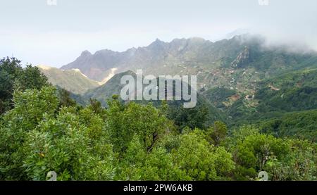 Impressione intorno a Mirador Pico del Ingles a Tenerife, Isole Canarie, Spagna Foto Stock