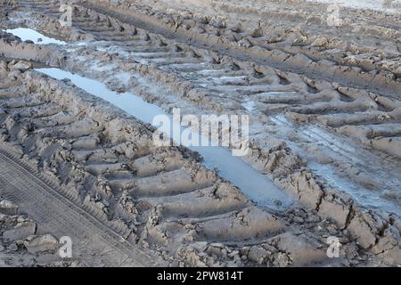 Paesaggio autunnale con una strada curva, su cui sono visibili tracce del battistrada di grandi ruote di macchine agricole Foto Stock