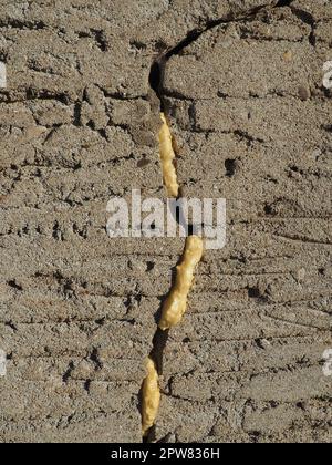 Gommapiuma di montaggio - sigillante in poliuretano espanso. La schiuma è costituita da 2 componenti principali, metilene difenildiisocianato e polioli. Incrinatura riempita di schiuma in t Foto Stock