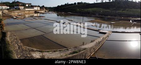 Fonte da Bica Salt Flats, aka Salinas de Rio Maior, sistema di compartimenti di acque basse e grondaie per l'estrazione del sale, colpo panoramico, Portogallo Foto Stock