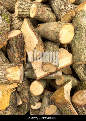 Tagliare pezzi di legno. Un mucchio grande di legna da ardere. Gli alberi sono stati tagliati e divisi in legna da ardere per essere usato come combustibile per il riscaldamento in caminetti e forni in Foto Stock