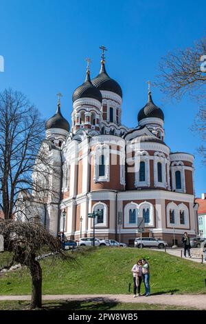 Alexander Nevsky Cathedral, progettato da Mikhail Preobrazhensky in un tipico stile di rinascita russa, nella collina di Toompea, Vanalinn, Tallinn, Estonia Foto Stock
