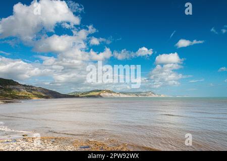 La costa Jurassic vista da East Cliff Beach a Lyme Regis, tra cui Charmouth e Golden Cap Foto Stock