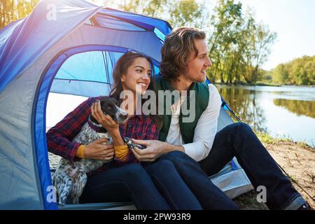 Guarda tutto questo spazio che devi giocare. una coppia avventurosa fuori campeggio con il loro cane. Foto Stock