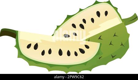 Soursop dettagliato e illustrazione delle sezioni Illustrazione Vettoriale