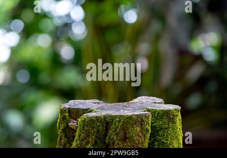 Forma rotonda in legno con muschio verde per l'esposizione del prodotto con sfondo bokeh Foto Stock