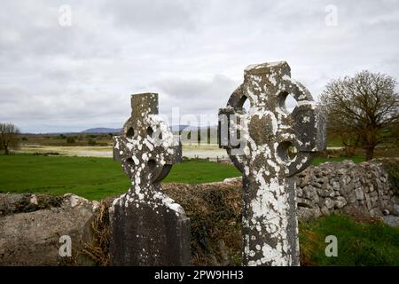 Croci celtiche nel cimitero della contea del monastero di Kilmacduagh, galway, repubblica d'irlanda Foto Stock