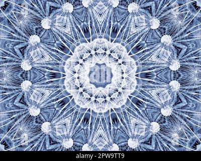 Sfondo con astratto modello radiale di naturale grande fiore di dente di leone Foto Stock