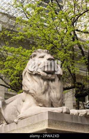 Le statue dei leoni, la pazienza e la Fortezza sono punti di riferimento storici di fronte alla Biblioteca pubblica di New York sulla Fifth Avenue, 2023, New York City, USA Foto Stock