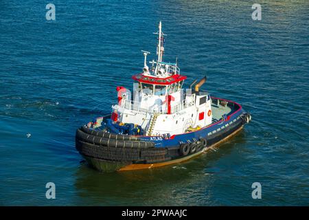 Rimorchiatore chiamato Atlas nella baia di Tampa Fllrida utilizzato per guidare navi da crociera e altre grandi merci che trasportano barche e navi Foto Stock