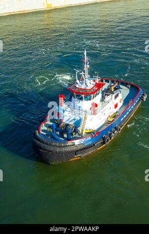 Rimorchiatore chiamato Atlas nella baia di Tampa Fllrida utilizzato per guidare navi da crociera e altre grandi merci che trasportano barche e navi Foto Stock