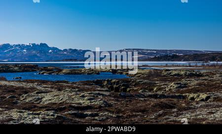 Parco nazionale di Thingvellir in islanda in una fredda giornata di marzo Foto Stock